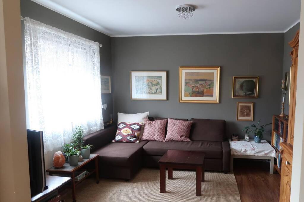 Warm And Welcoming Flat Downtown Akureyri Apartment Екстериор снимка